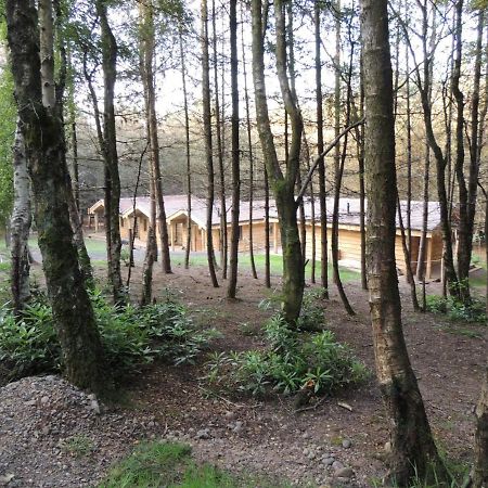 Wyldwood Lodge Cheadle  Dış mekan fotoğraf