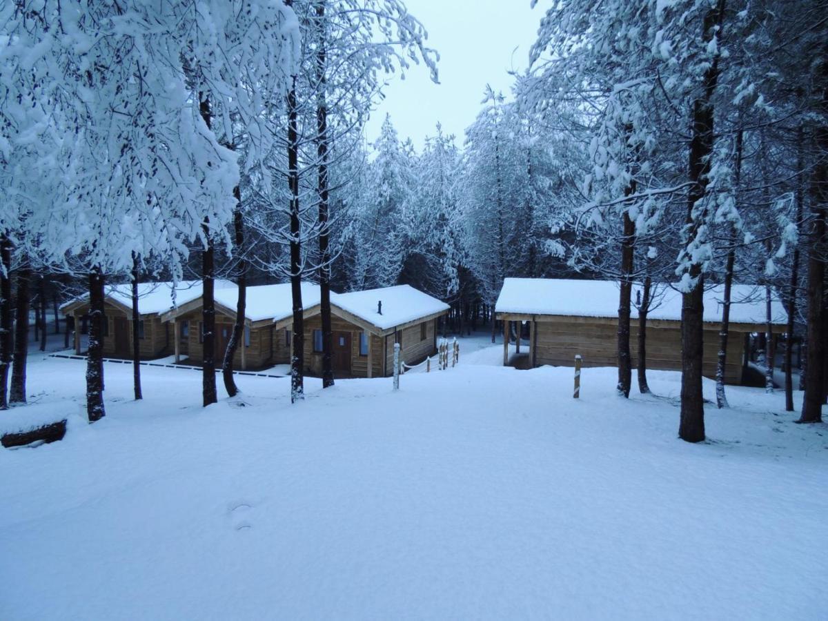 Wyldwood Lodge Cheadle  Dış mekan fotoğraf