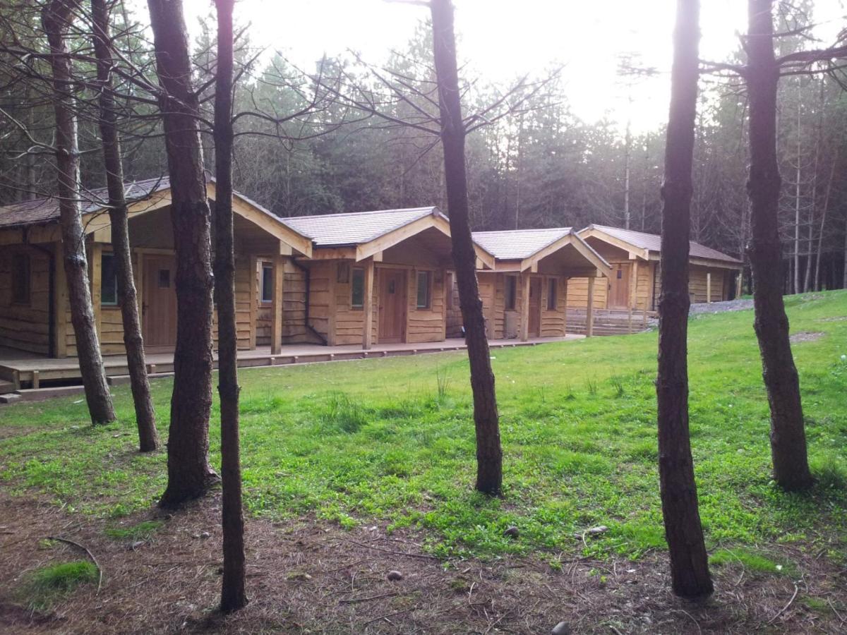 Wyldwood Lodge Cheadle  Dış mekan fotoğraf