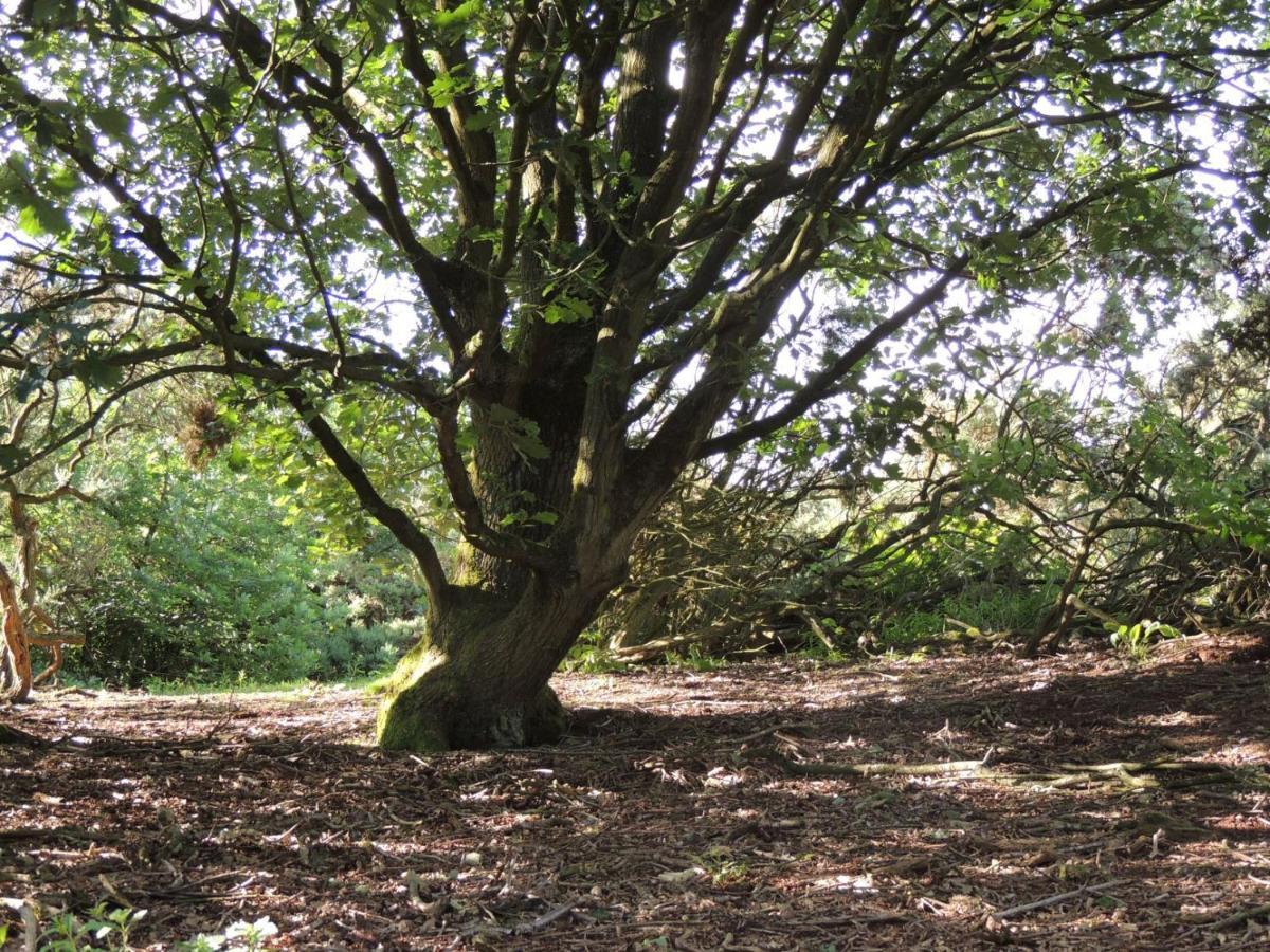 Wyldwood Lodge Cheadle  Dış mekan fotoğraf