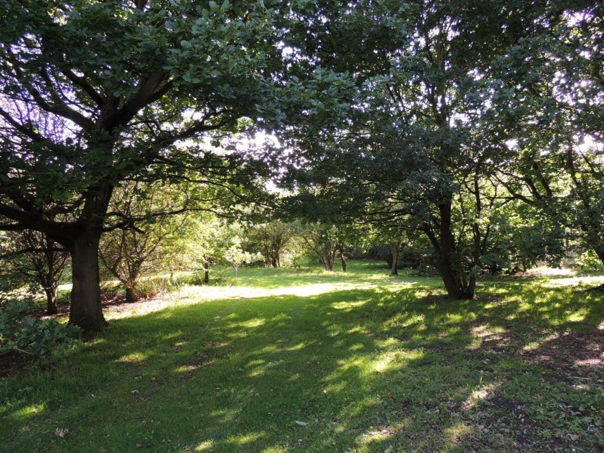 Wyldwood Lodge Cheadle  Dış mekan fotoğraf