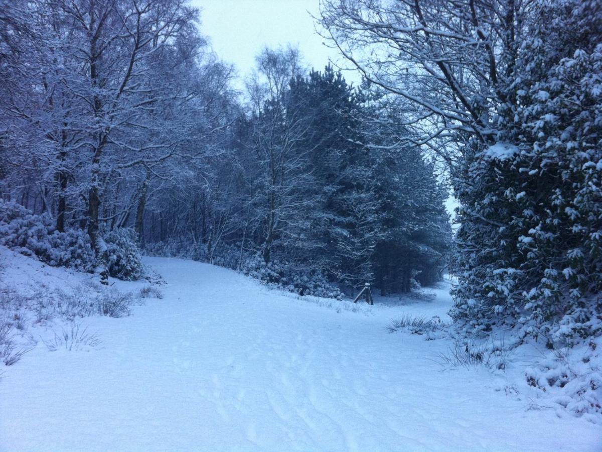 Wyldwood Lodge Cheadle  Dış mekan fotoğraf
