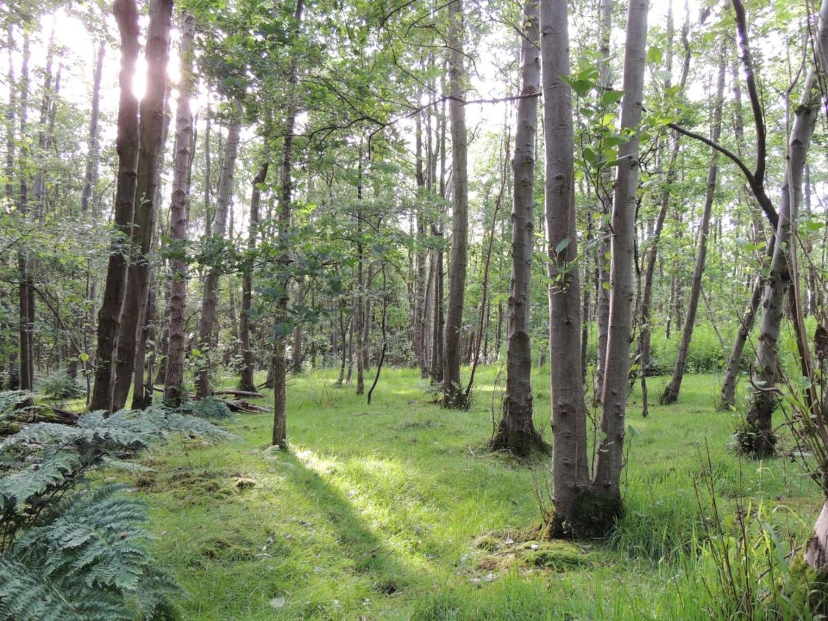 Wyldwood Lodge Cheadle  Dış mekan fotoğraf