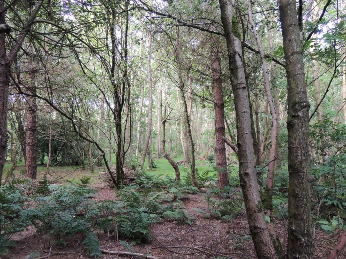 Wyldwood Lodge Cheadle  Dış mekan fotoğraf